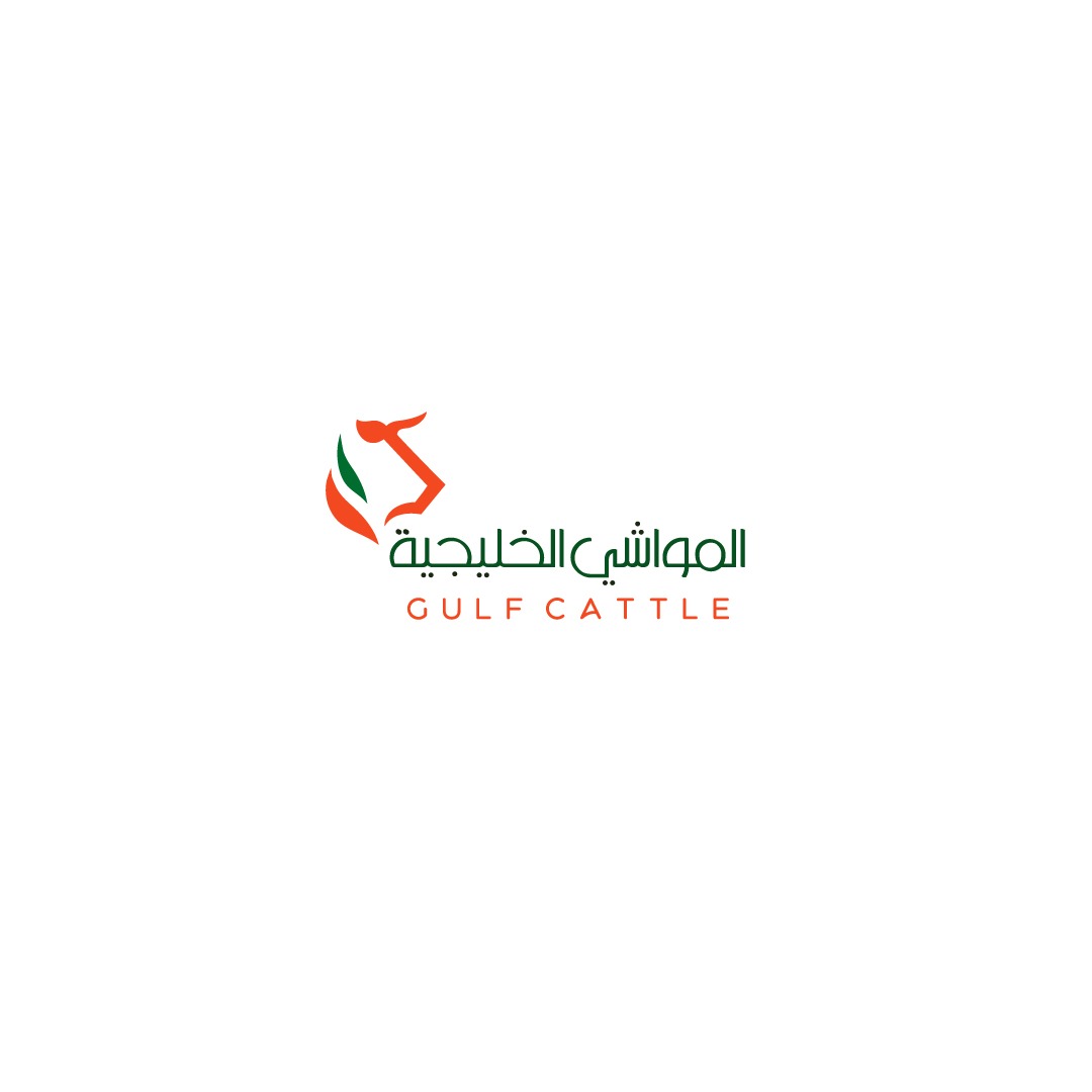 الرئيسية whatsapp image 2026 08 17 at 6.00.11 pm
